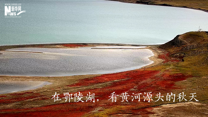 三江源慢直播丨在鄂陵湖，看黃河源頭的秋天