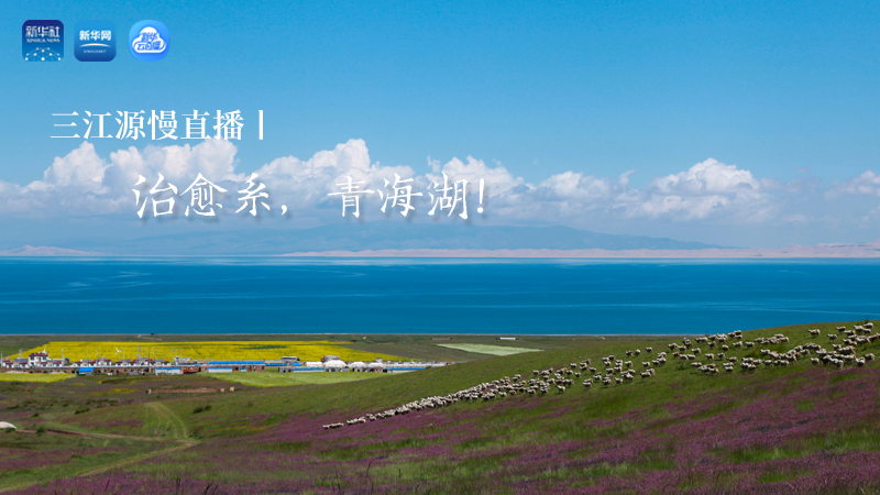 三江源慢直播丨治愈系，青海湖！